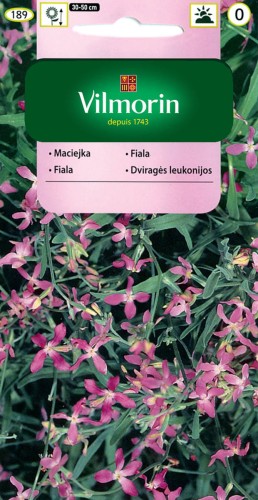 Maciejka różowolawendowa VILMORIN
