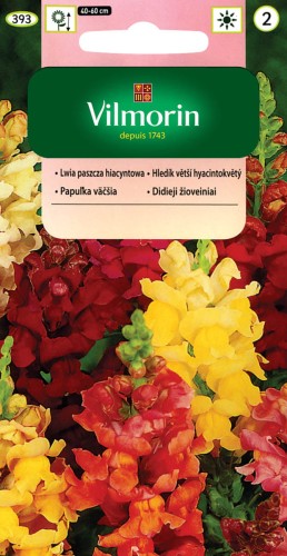 Lwia Paszcza Hiacyntowa Mix kolorów VILMORIN