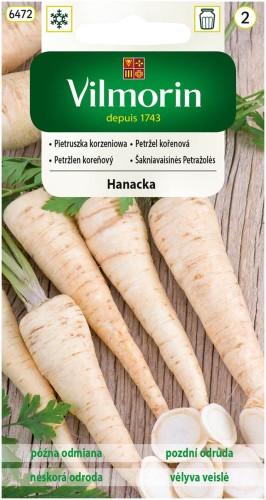 Pietruszka korzeniowa HANACKA do przechowywania VILMORIN