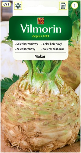 Seler korzeniowy Makar średnio wczesny VILMORIN