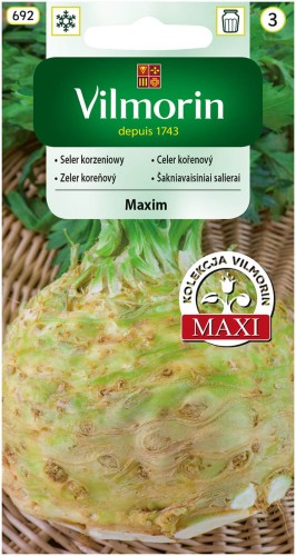 Seler korzeniowy Maxim późny VILMORIN