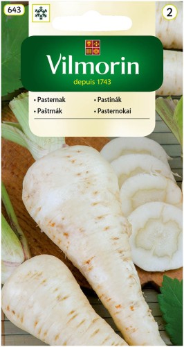 Pasternak Półdługi Biały późny  VILMORIN