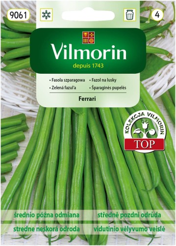 Fasola szparagowa karłowa FERRARI odporna VILMORIN