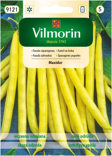 Fasola szparagowa karłowa Maxidor VILMORIN 30g