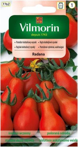 Pomidor koktajlowy wysoki Radana VILMORIN