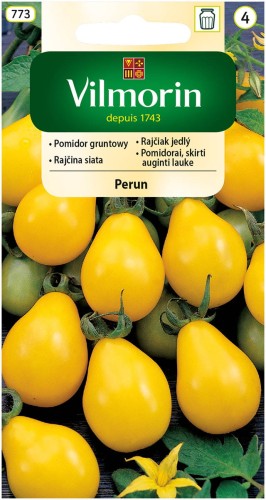 Pomidor gruntowy Perun żółty VILMORIN