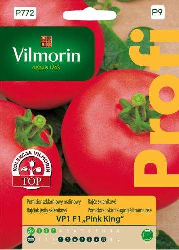 Pomidor szklarniowy VP1 F1 Pink King VILMORIN