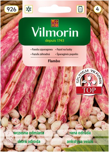 Fasola szpargowa FLAMBO karłowa Nakrapiana VILMORIN