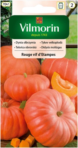 Dynia Rouge Vif d' Etampes Płaska VILMORIN