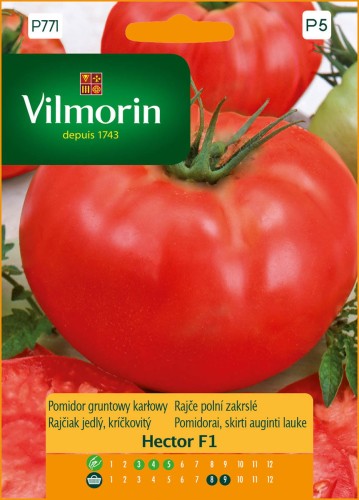 Pomidor karłowy Hector F1 VILMORIN