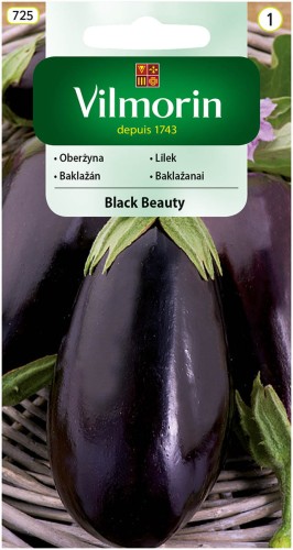 Oberżyna BLACK BEAUTY do tuneli VILMORIN