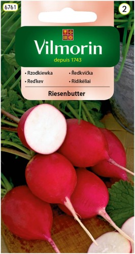 Rzodkiewka Riesenbutter uprawa latem Vilmorin 10g