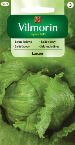 Sałata krucha LARSEN lodowa VILMORIN