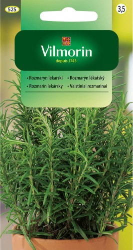 Rozmaryn lekarski - nasiona ziół VILMORIN