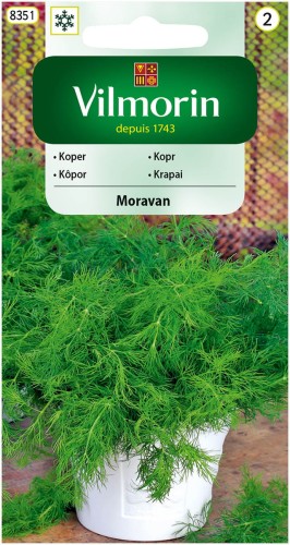 Koper Moravan VILMORIN