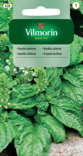 Bazylia sałatowa - zioła VILMORIN