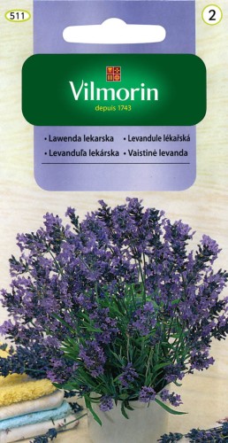 Lawenda Lekarska - nasiona ziół VILMORIN