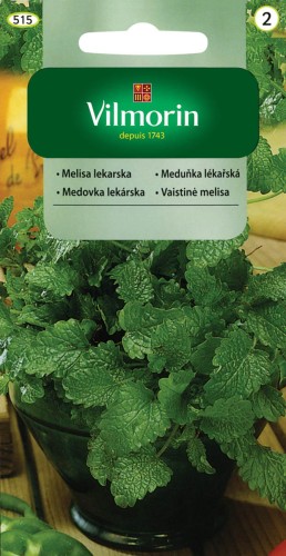 Melisa Lekarska zioła wieloletnie VILMORIN