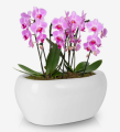 Doniczka ceramiczna BIAŁA podłużna rynna 27cm