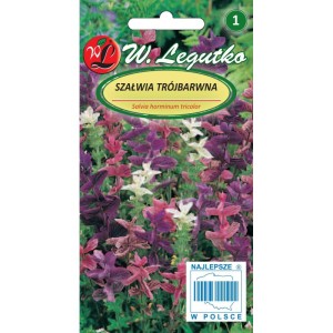 Szałwia trójbarwna MIX wieloletnia LEGUTKO