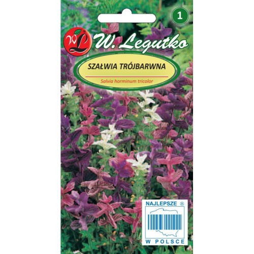 Szałwia trójbarwna MIX wieloletnia LEGUTKO