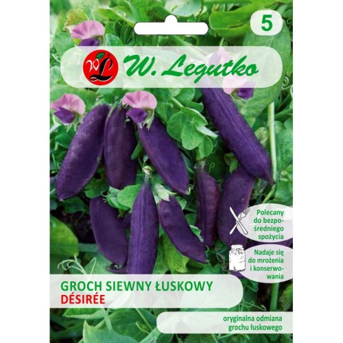 Groch łuskowy DESIREE fioletowy LEGUTKO 