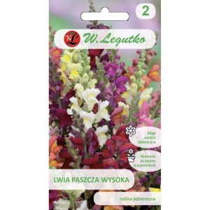 Lwia paszcza wysoka jednoroczna 1g LEGUTKO