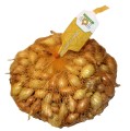 Cebula dymka Sturon 8-21 500g 