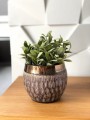 Doniczka ceramiczna FIOLET & GOLD mała 12cm