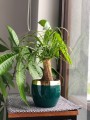 Doniczka ceramiczna kula ZIELONA gold&green 11cm