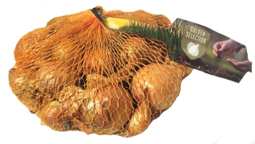 Cebula Szalotka Golden Gourmet 500g