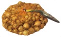 Cebula dymka Stuttgarter Reisen 8-21mm 500g 