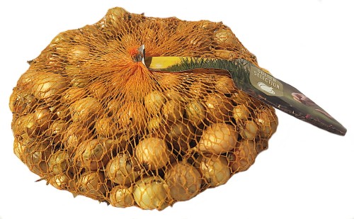 Cebula dymka Stuttgarter Reisen 8-21mm 500g 