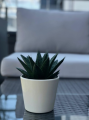 Doniczka osłonka ceramiczna BIAŁA gładka 12cm