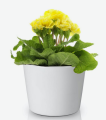 Doniczka osłonka ceramiczna SZARA gładka 12cm