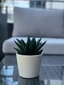 Doniczka osłonka ceramiczna SZARA gładka 12cm