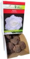 Begonia DOUBLE WHITE biała Holland bulwa1szt