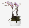 Doniczka ceramiczna misa BIAŁA 19cm