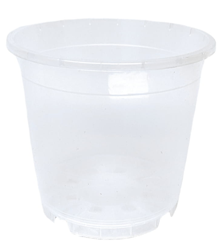 Doniczka produkcyjna transparentna 15cm Amazone