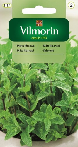 Mięta kłosowa nasiona zioła 0,1g VILMORIN