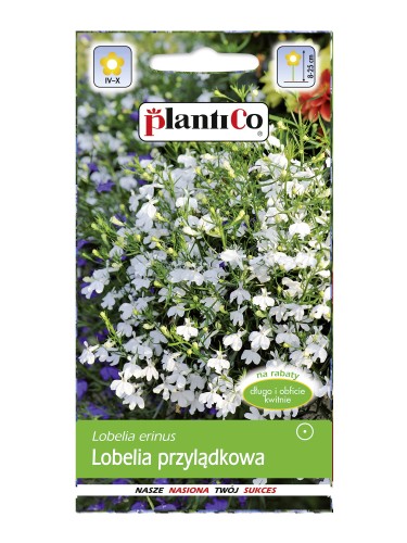 Lobelia Przylądkowa biała  0,2g nasiona PLANTICO