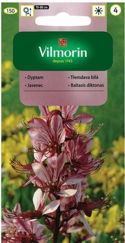 Dyptam, Krzew Mojżesza VILMORIN