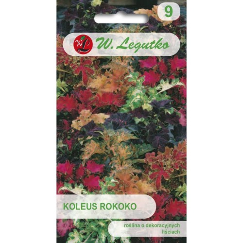 Koleus Rokoko MIX 0,02g LEGUTKO