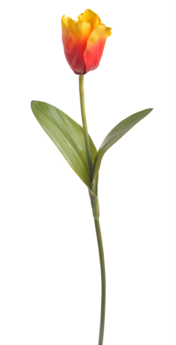 Sztuczny TULIPAN PREMIUM czerwonyo - żółty 50cm 1szt