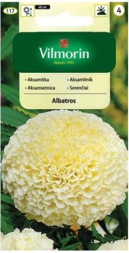 Aksamitka wzniesiona pełna Albatros  Kremowa VILMORIN