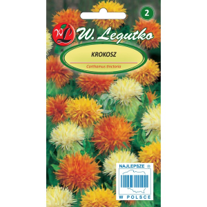 Krokosz Mix kolorów 70-80cm LEGUTKO