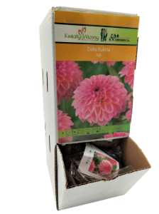 Dalia Esli bulwa 1 szt 70 cm