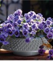 Miska AŻUROWA cmentarna plastikowa 24cm BIAŁA