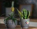 Doniczka osłonka ceramiczna 17cm NIEBIESKA polnix NEW