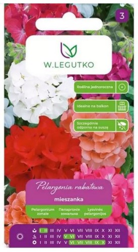 Pelargonia rabatowa Mix kolorów F2 LEGUTKO